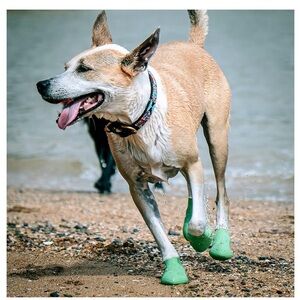 2.0 Skin-Like Dog Boots